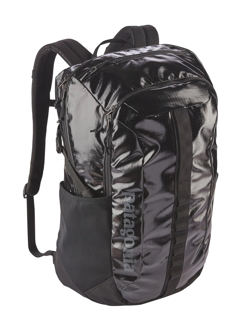Patagonia Black Shiny Travel Backpack - Men's